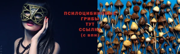 мет Белокуриха