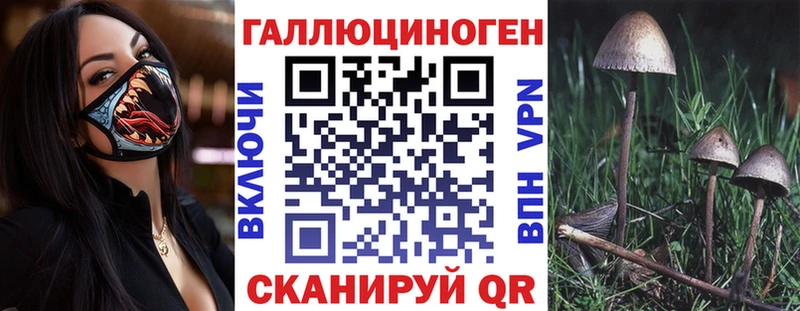 Псилоцибиновые грибы GOLDEN TEACHER  что такое   Нерюнгри 